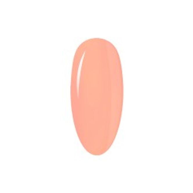 Bilde av 383 Safari 8g